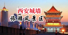 www.好大在用力点哦哦视频中国陕西-西安城墙旅游风景区